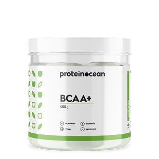 ProteinOcean Bcaa+  400gr